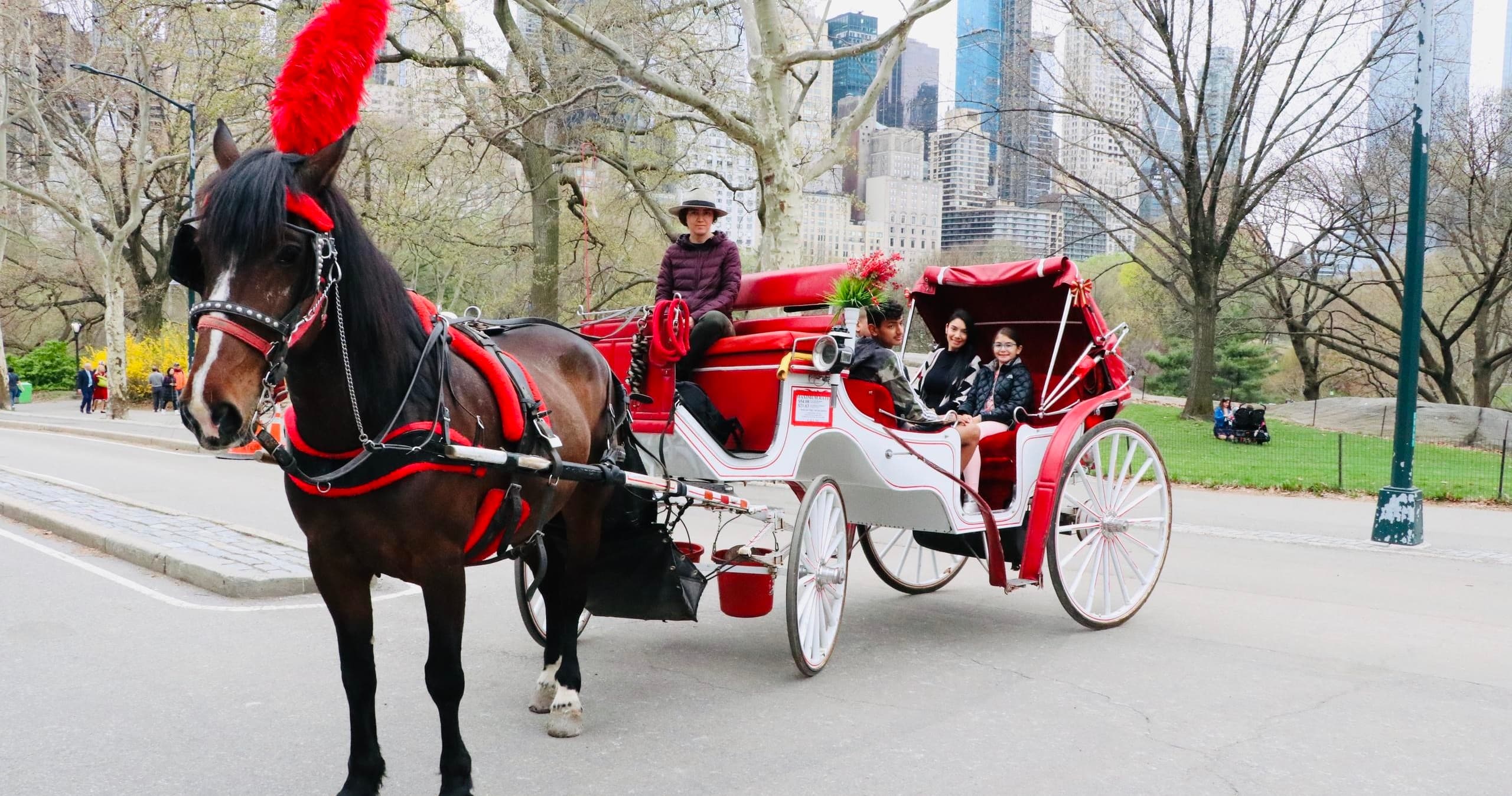 Short Central Park Horse Carriage Ride