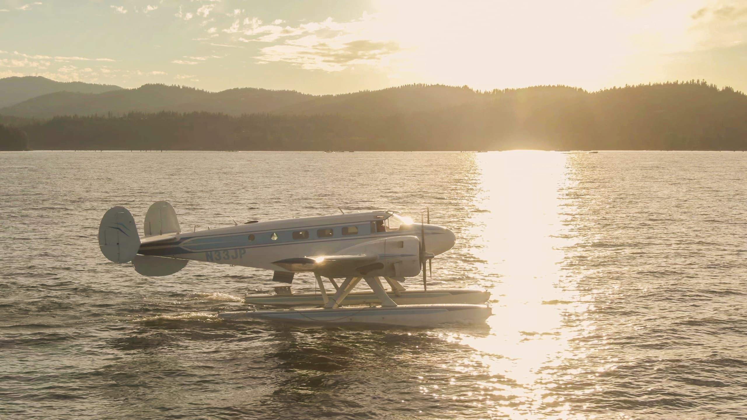 Sunset Flight