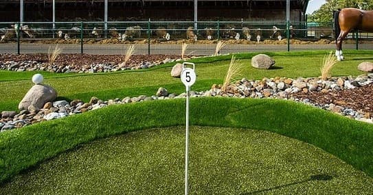Adventure Minigolf: Einzelkarten