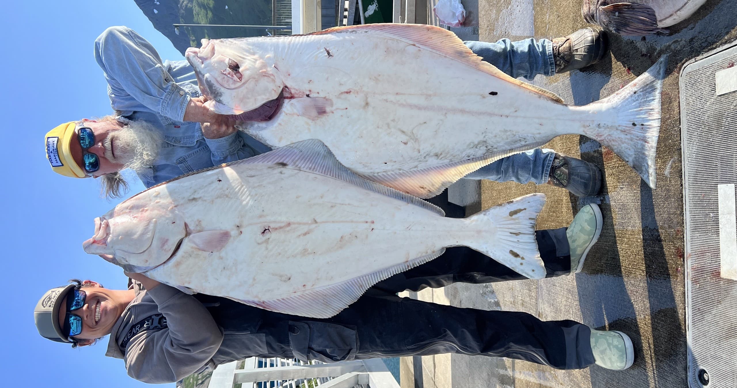 Halibut & Rockfish Charters