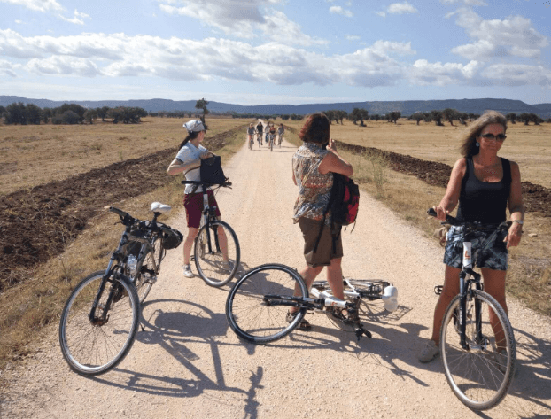 Private Bike Tour In National Park Of Coastal Dunes With Olive Oil Tasting