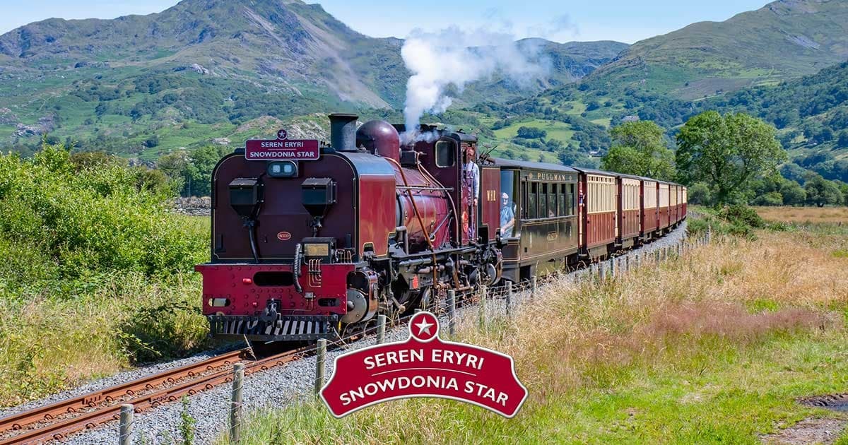 Snowdonia Star - Gold