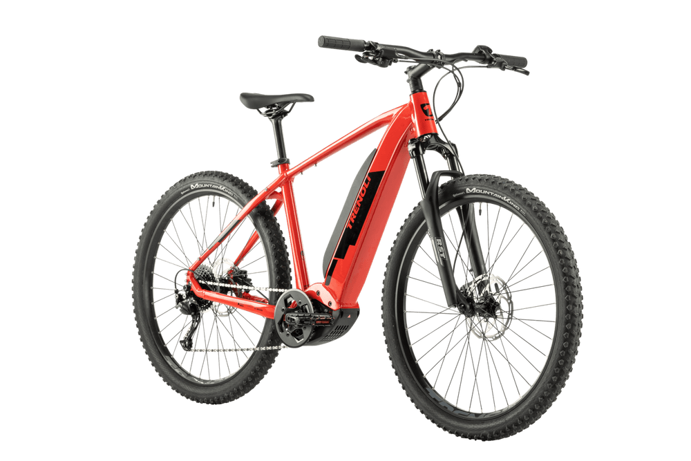 E-Bike MTB M (Hotel Alpenblick)