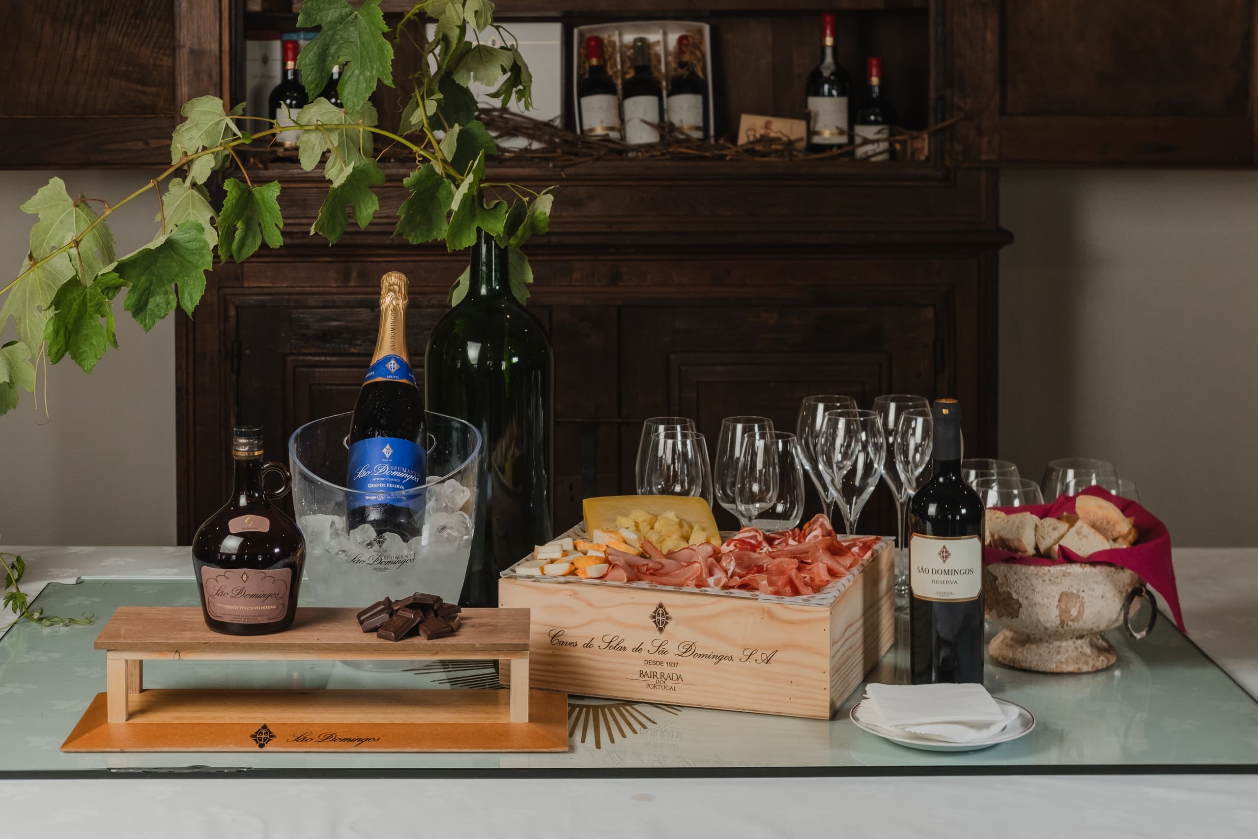 Visita e Prova Baga da Bairrada