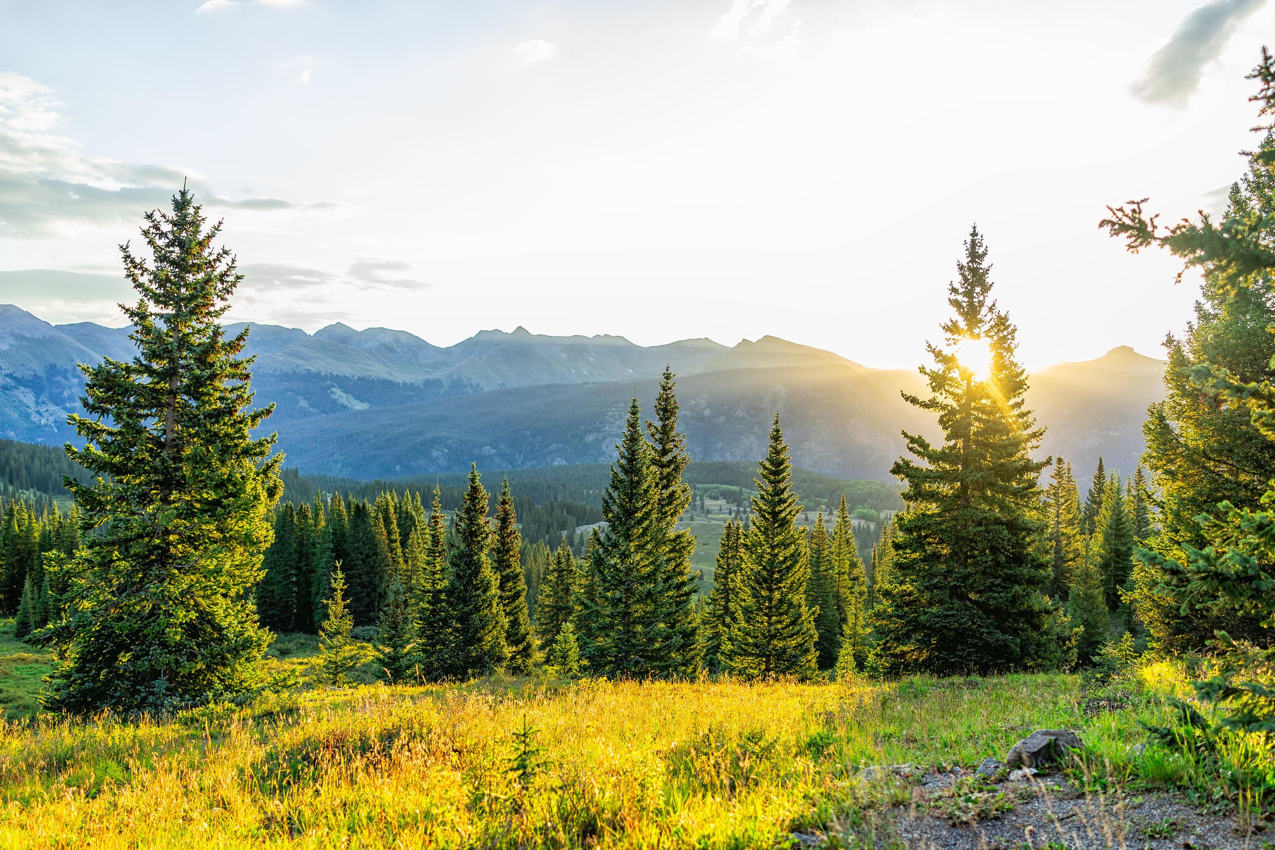Private Hiking Tour at Mount Falcon