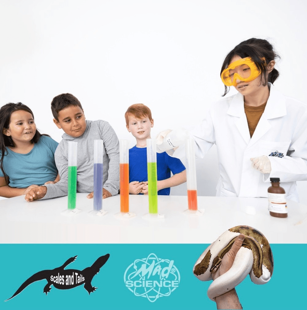Creatures & Chemistry Party Room Package