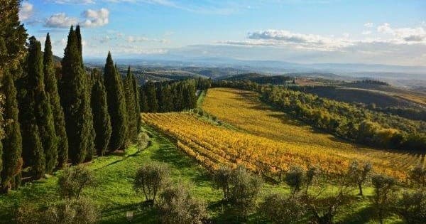 Chianti wine tour