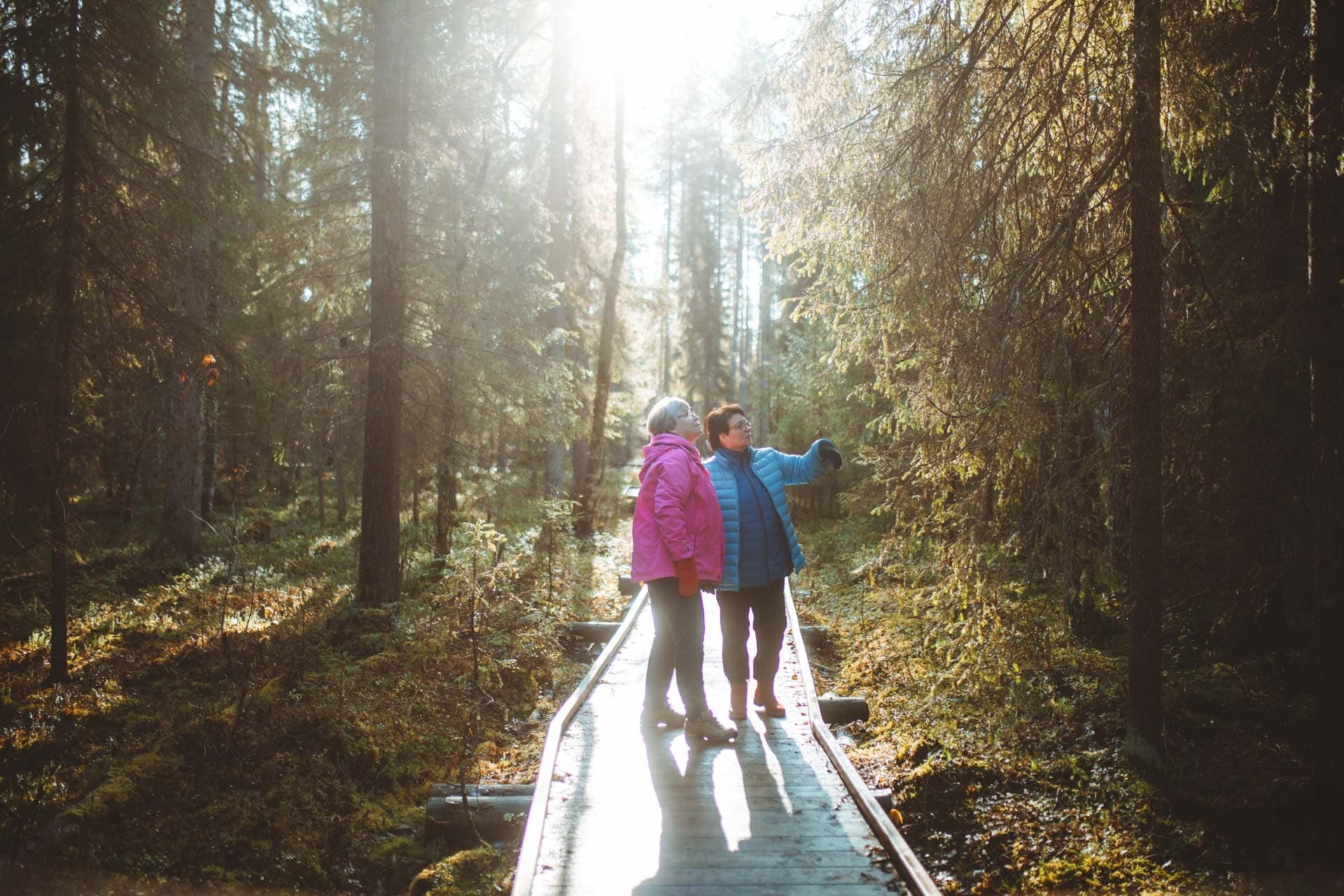 Guided tour in Arctic Circle Trekking area