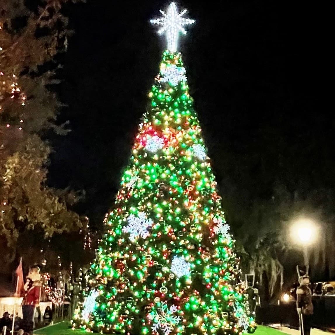 Downtown Christmas Lights Tour