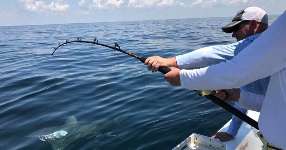 Inshore/Nearshore