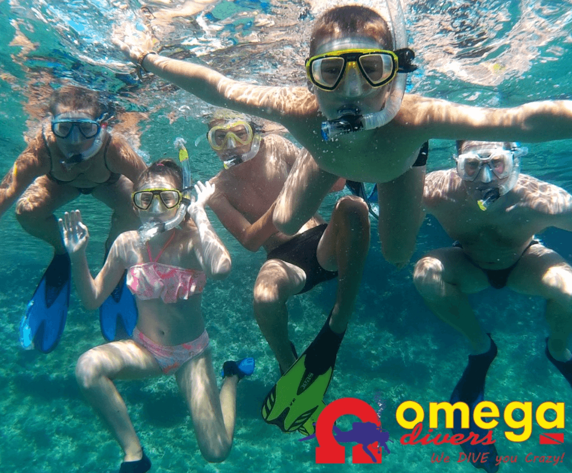 Snorkelling & SUP Tour