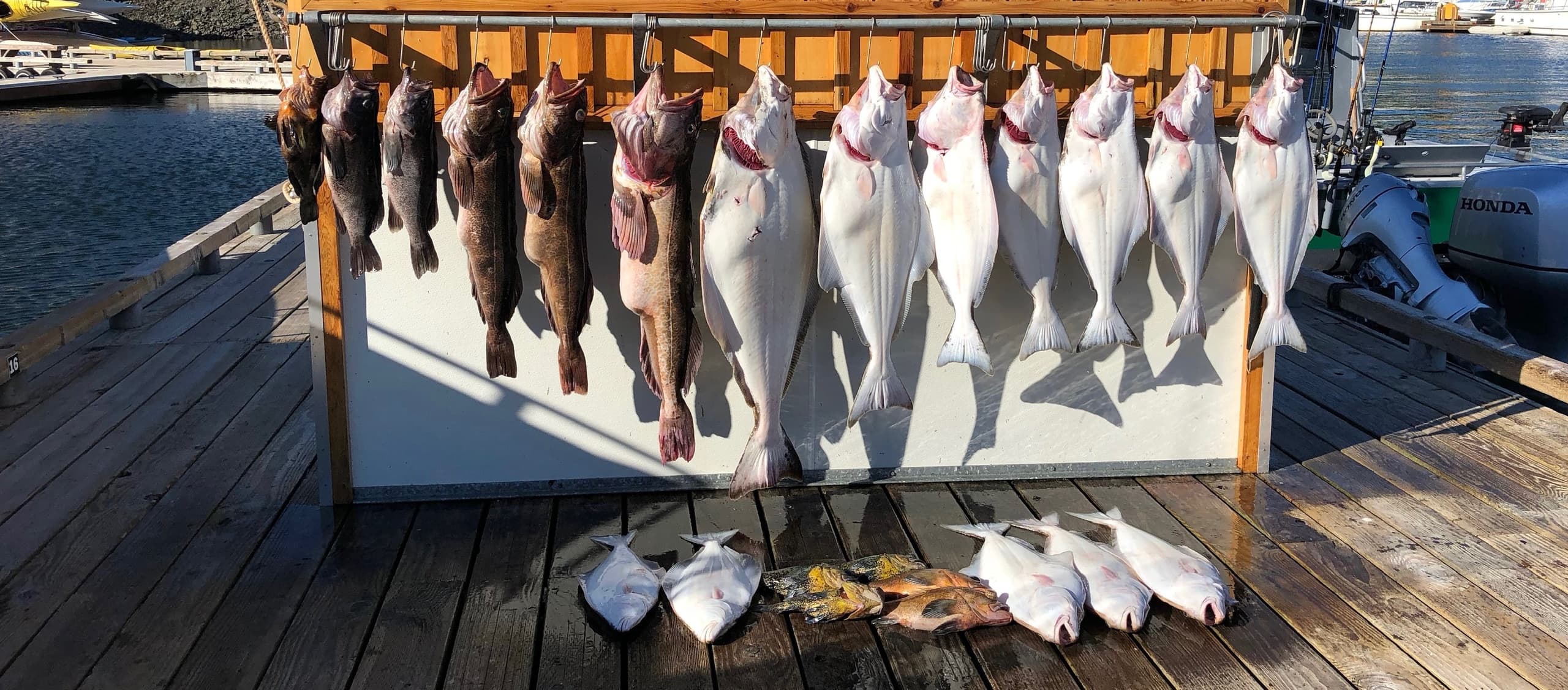 All Day Fishing Trip