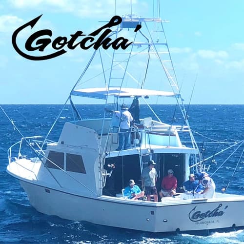 GOTCHA • Reef Fishing