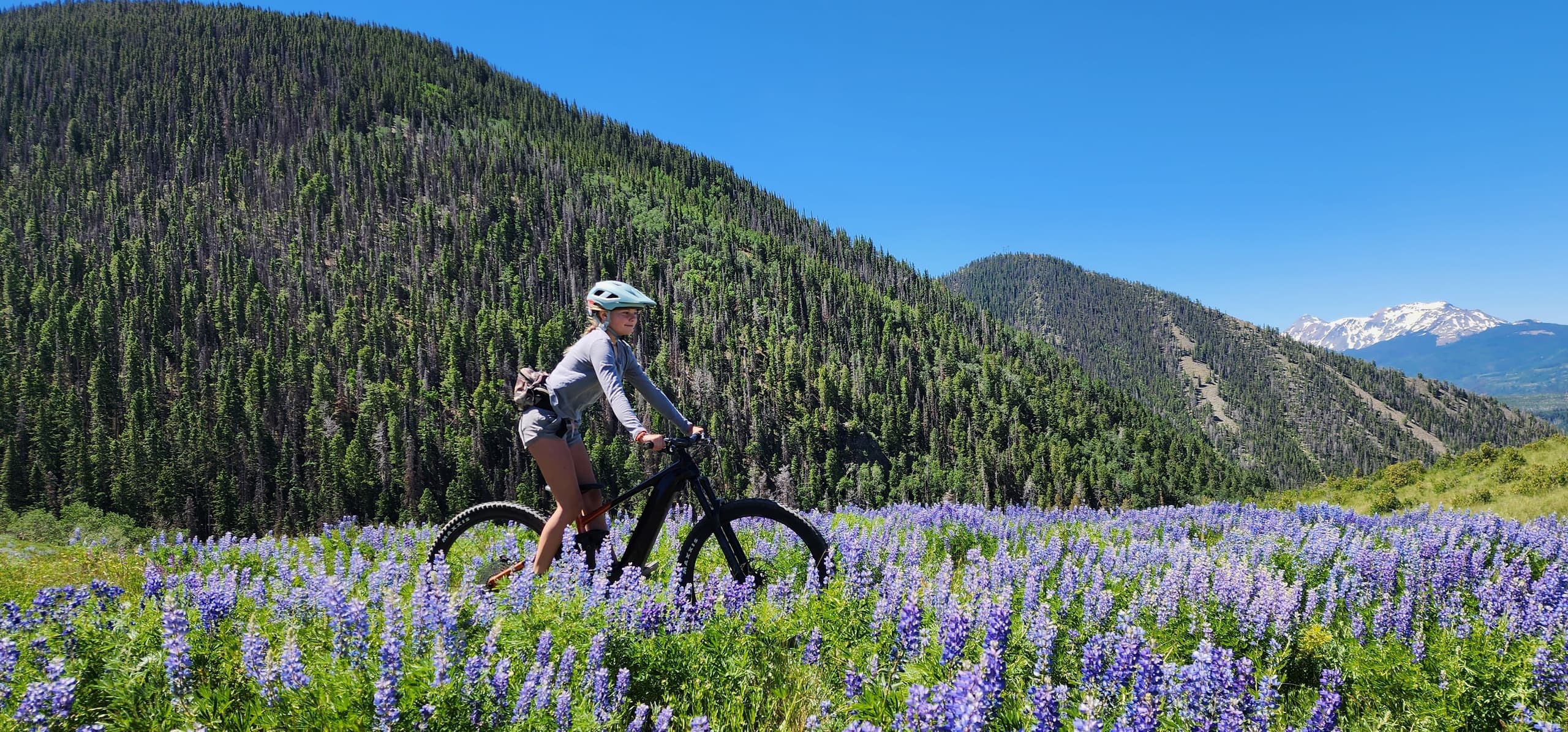 Mountain Bike Half Day