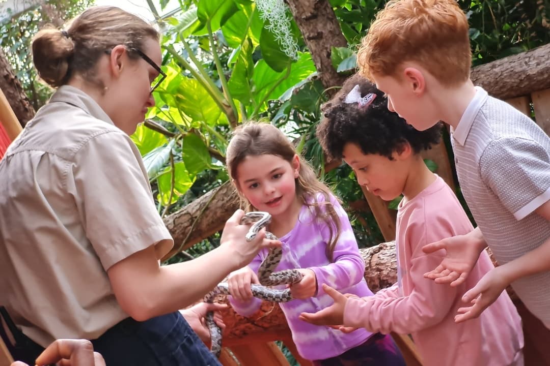 VIP Animal Encounters including General Admission