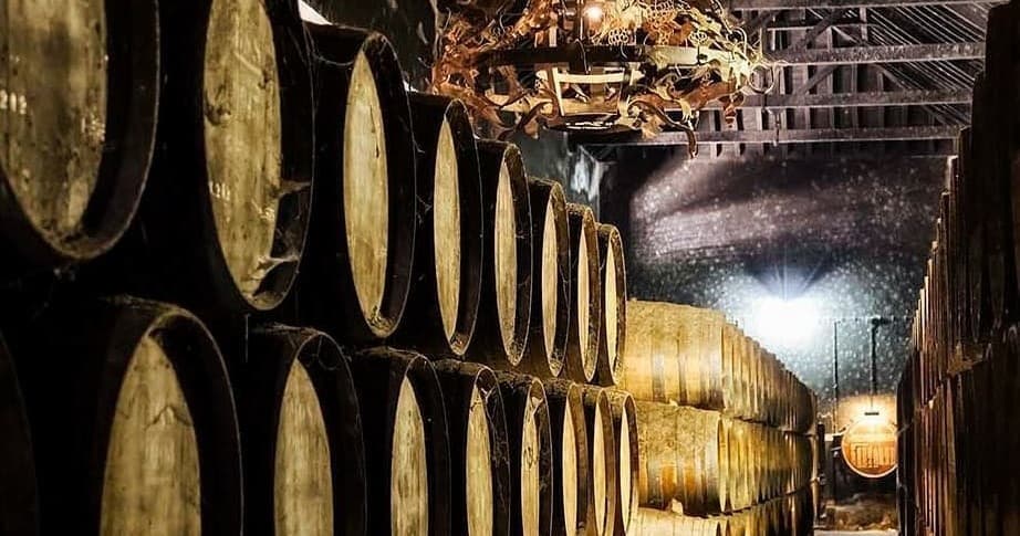 Reguengos Talha Wines Experience