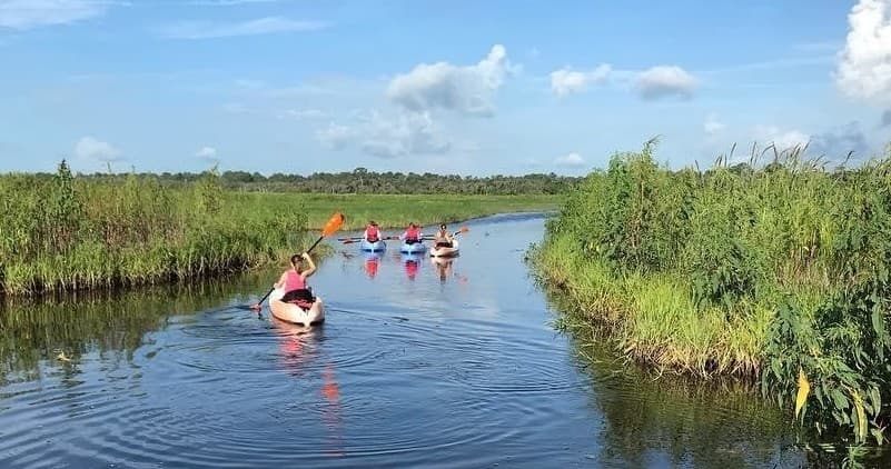 North Guana Eco Tour