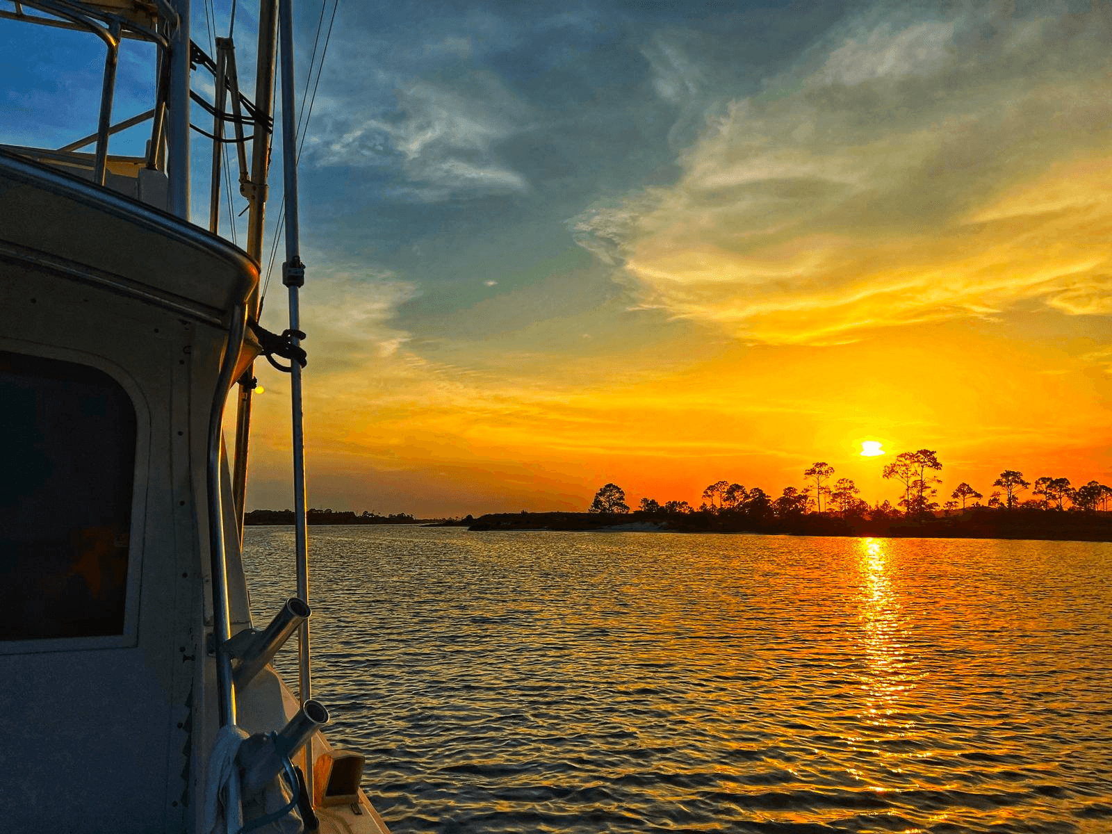 Dolphin Watching, Harbor Tour and Sunset Cruise