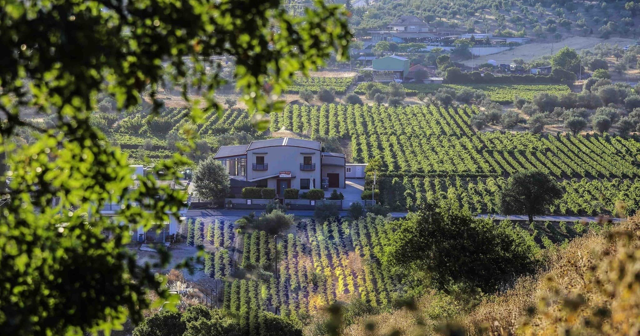 Nemea Wine Tour