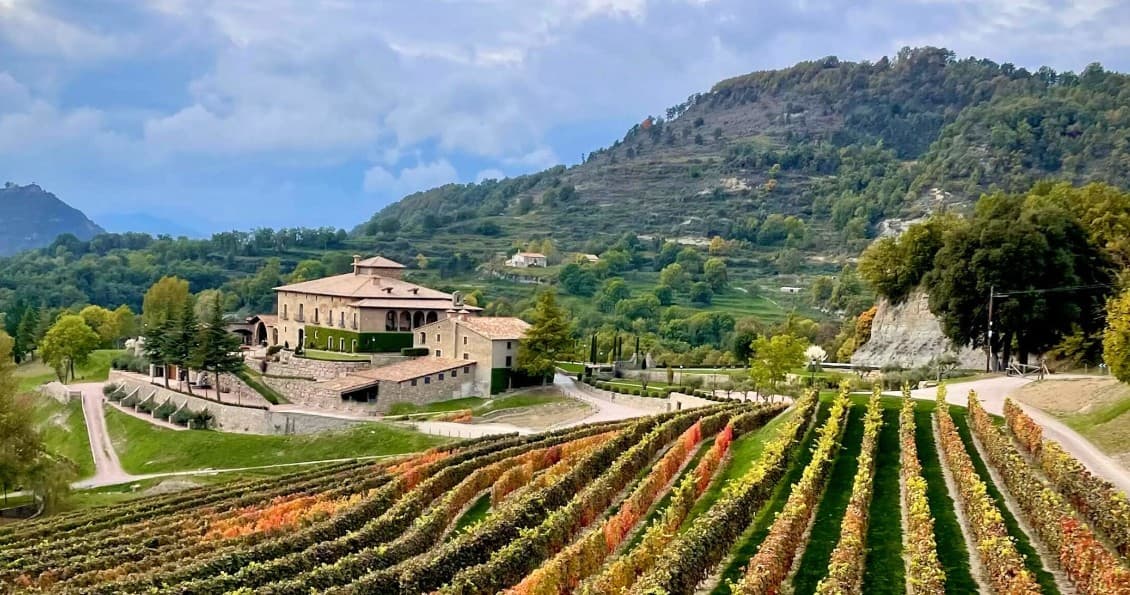 Visita a la Bodega Clarella