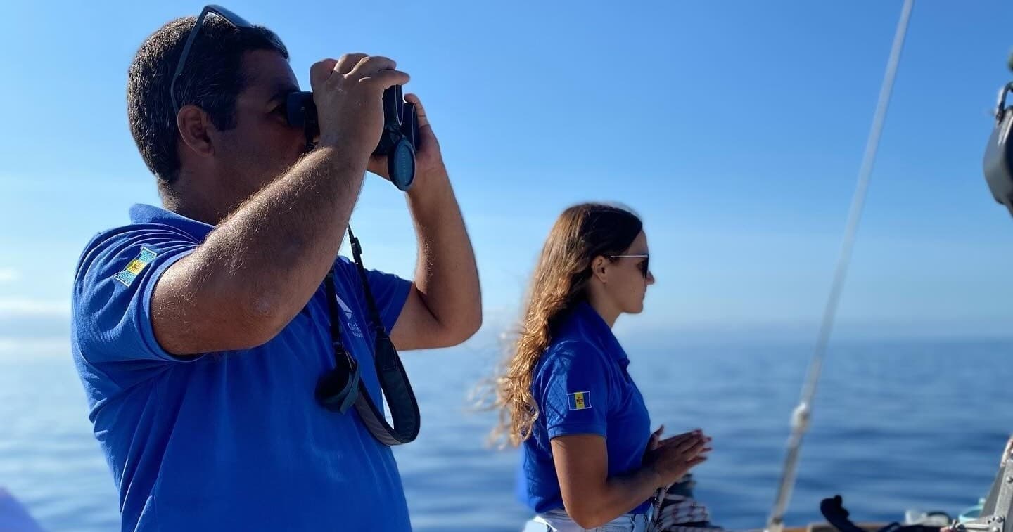 Cabo Girão: Passeio de barco para observação de golfinhos e baleias