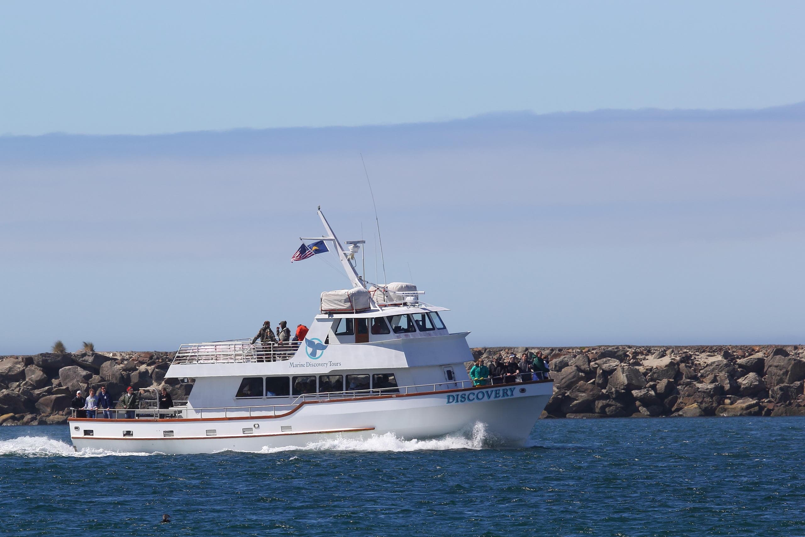 Sea Life Cruise - Newport's Favorite Outdoor Adventure!