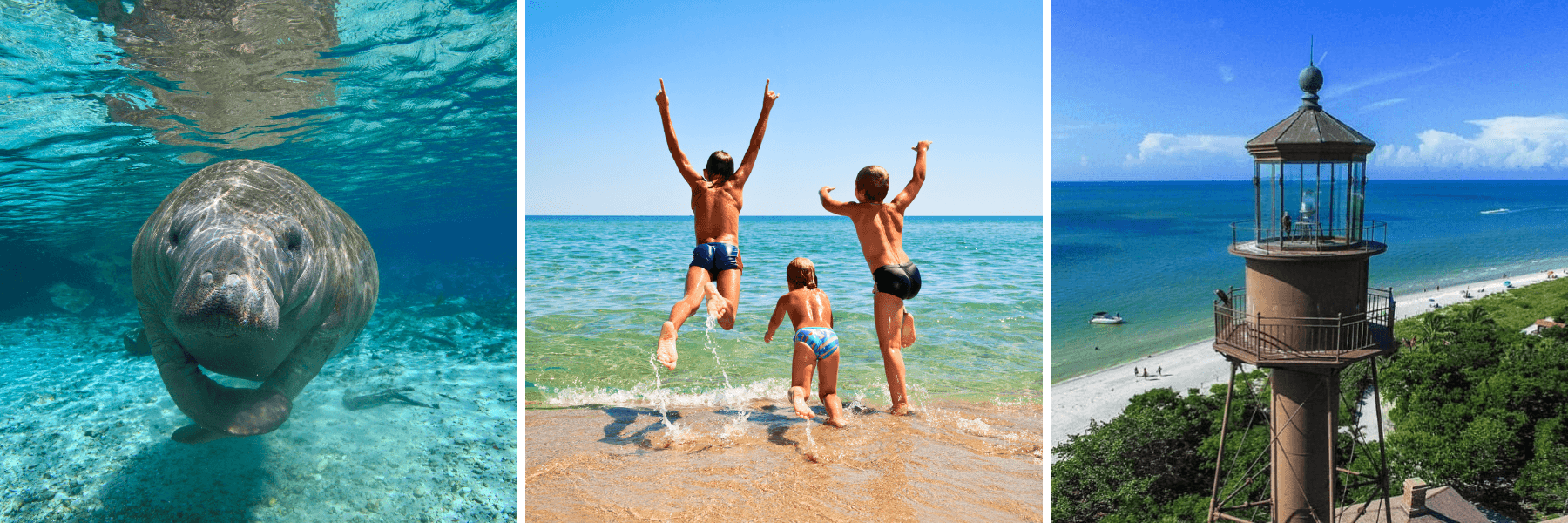 4h Private Boat Tour from Cape Coral to Sanibel Island