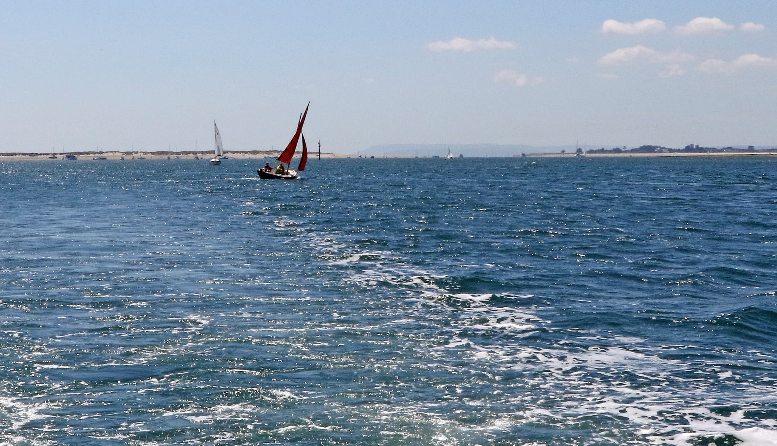 Harbour Tour & Bird Watching