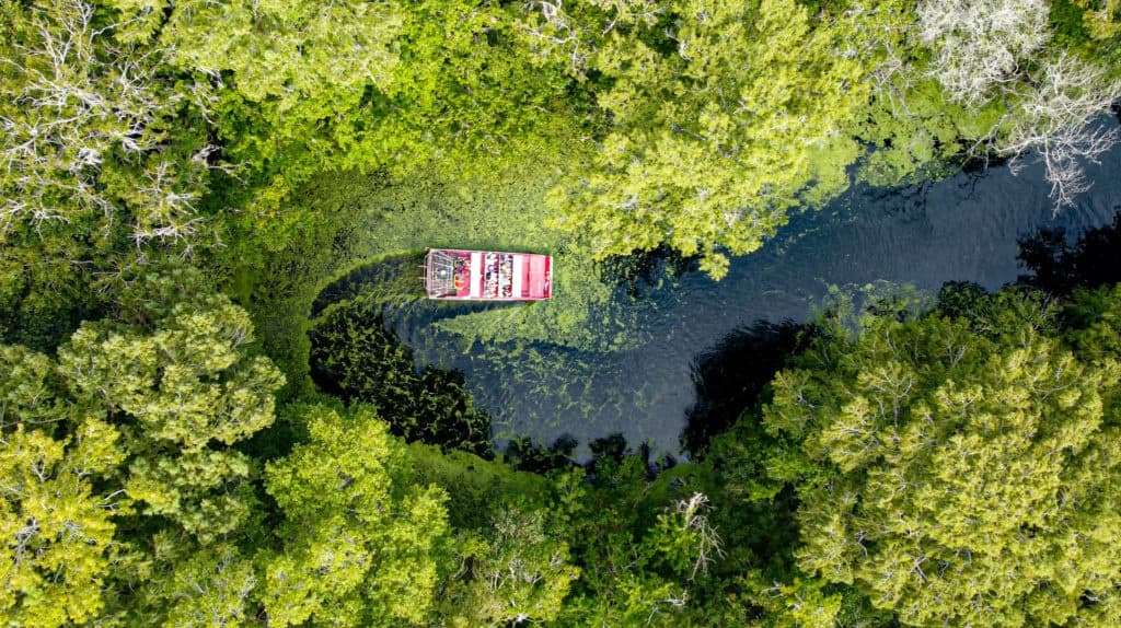 One Hour Airboat Tour