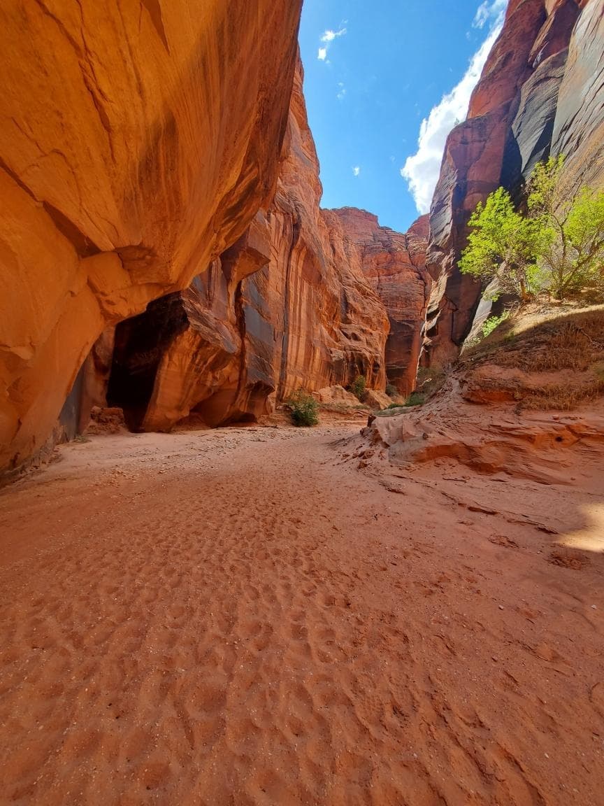 Buckskin Gulch & Wire Pass