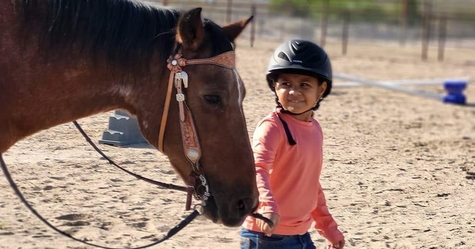 Private Lesson: One Hour Riding Lesson