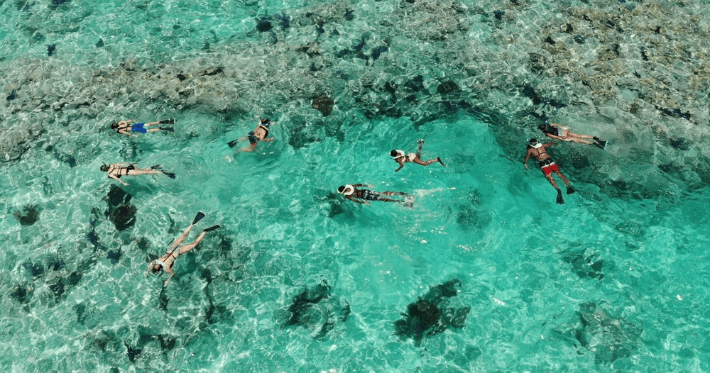Sunset Snorkel