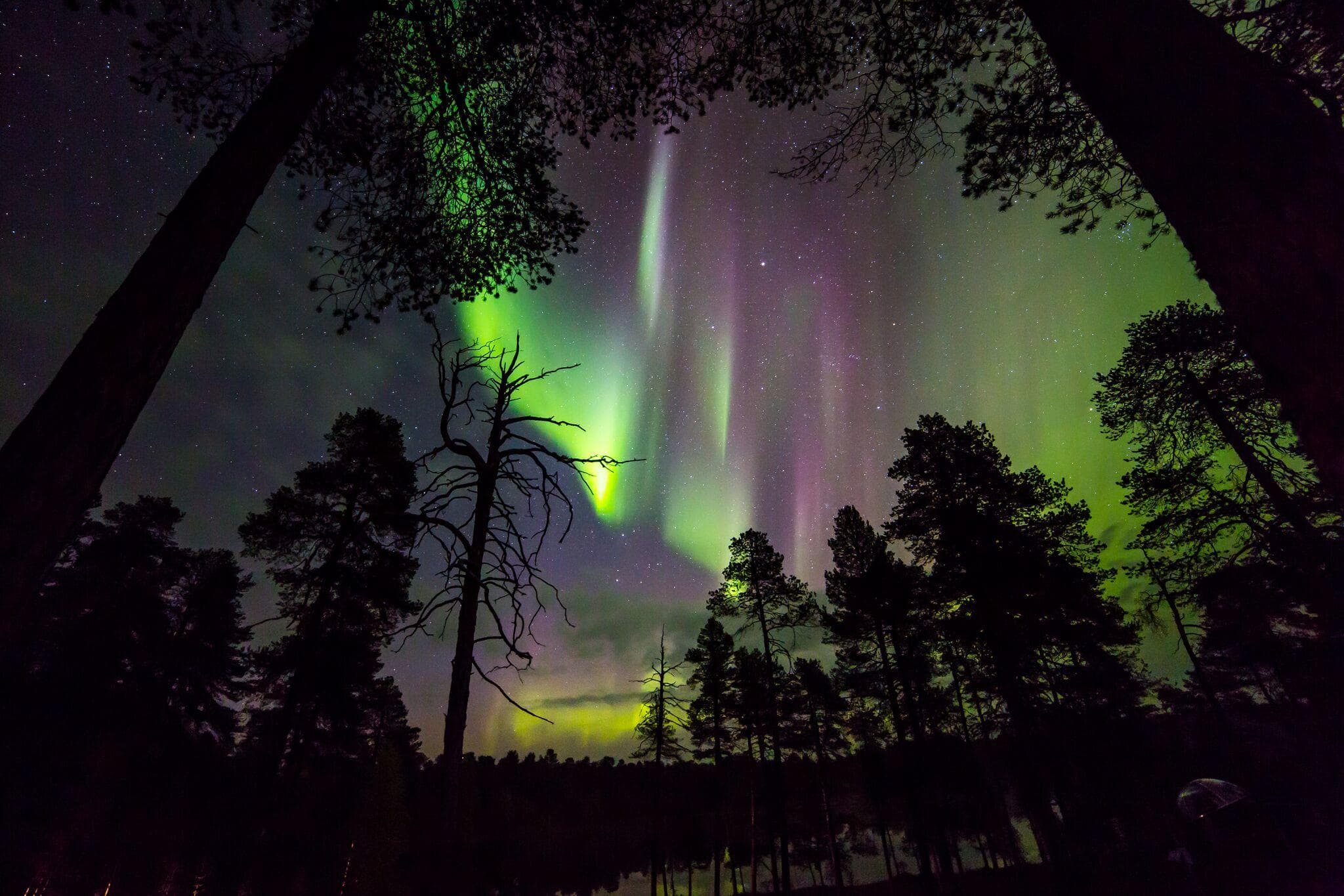 Autumn Aurora Camp