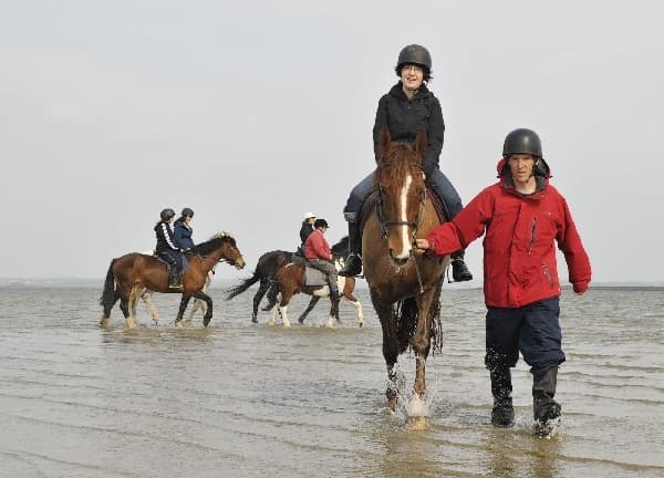 7-Night Equestrian Package