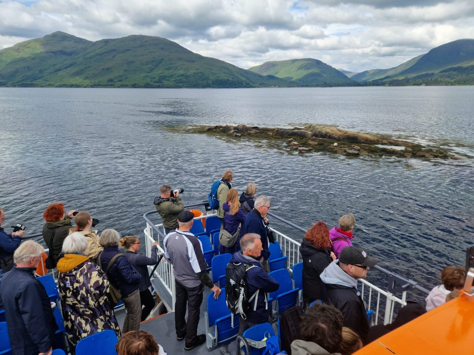 Seal Island Cruise