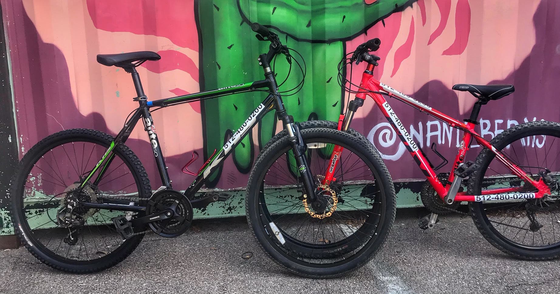 Mountain Bike - Rentals