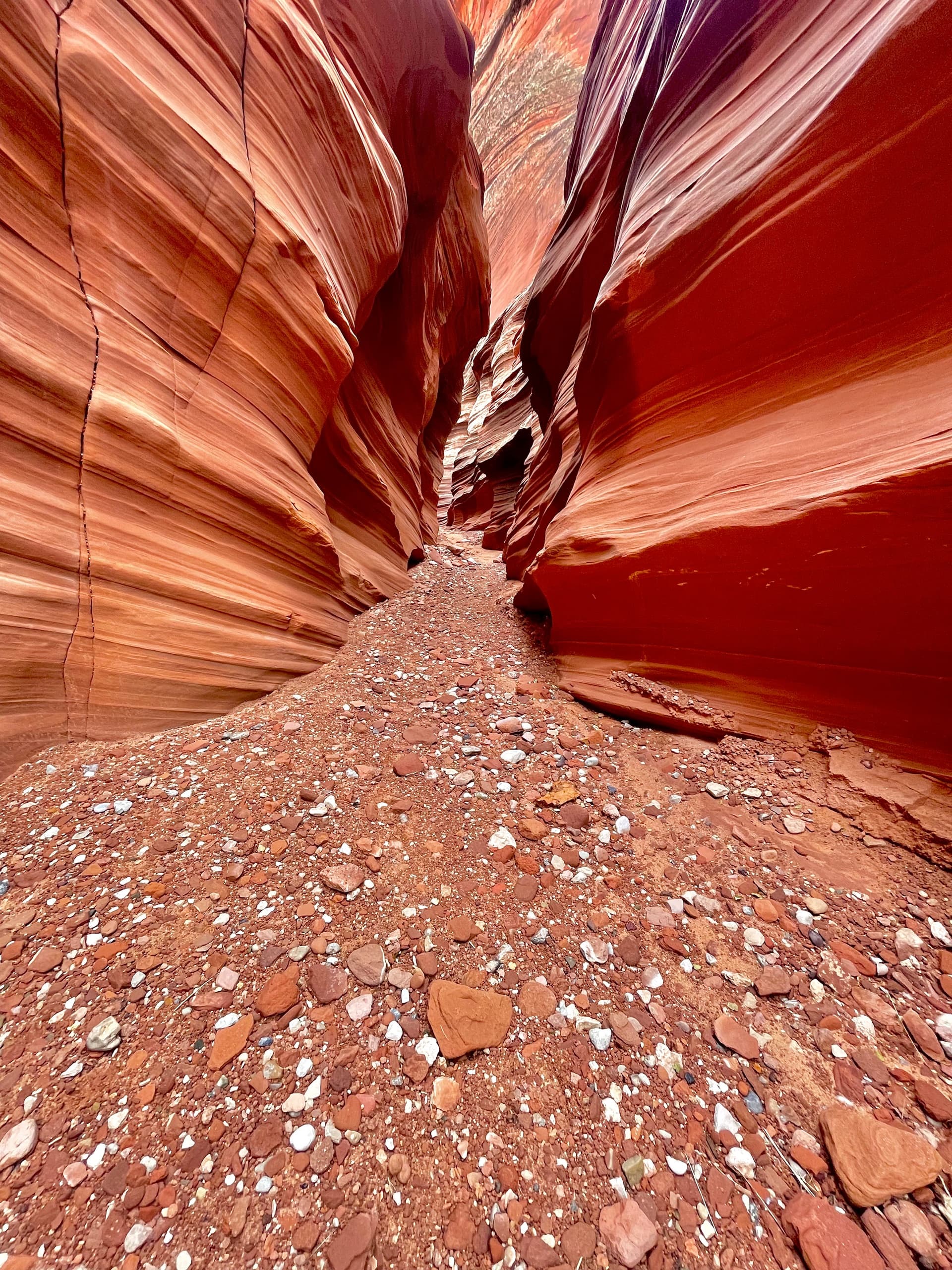 Mountain Sheep Slot Canyon Tour