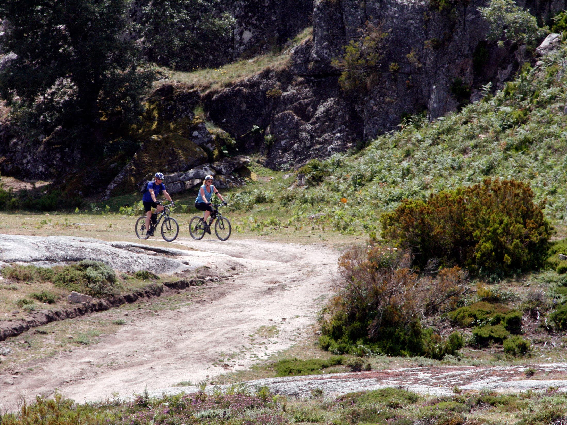 Guided Trails - Bike | Half Day