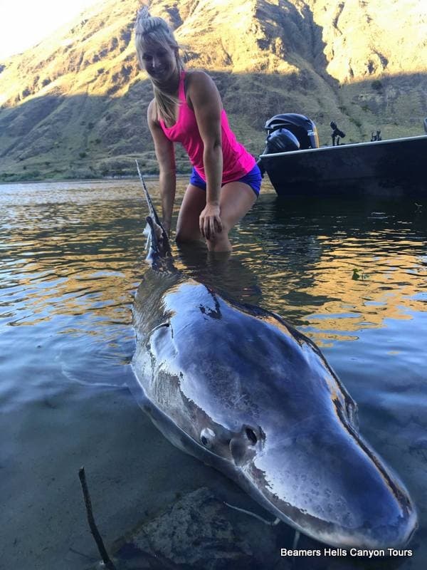 Guided Fishing Charters