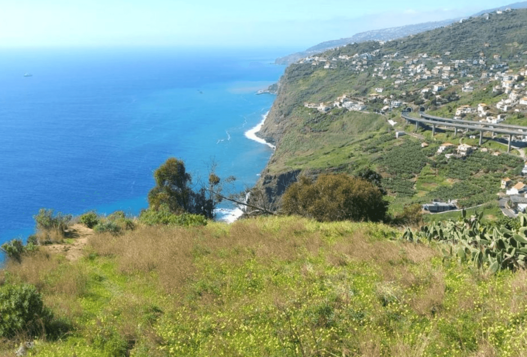 Vereda & Madeira Wine