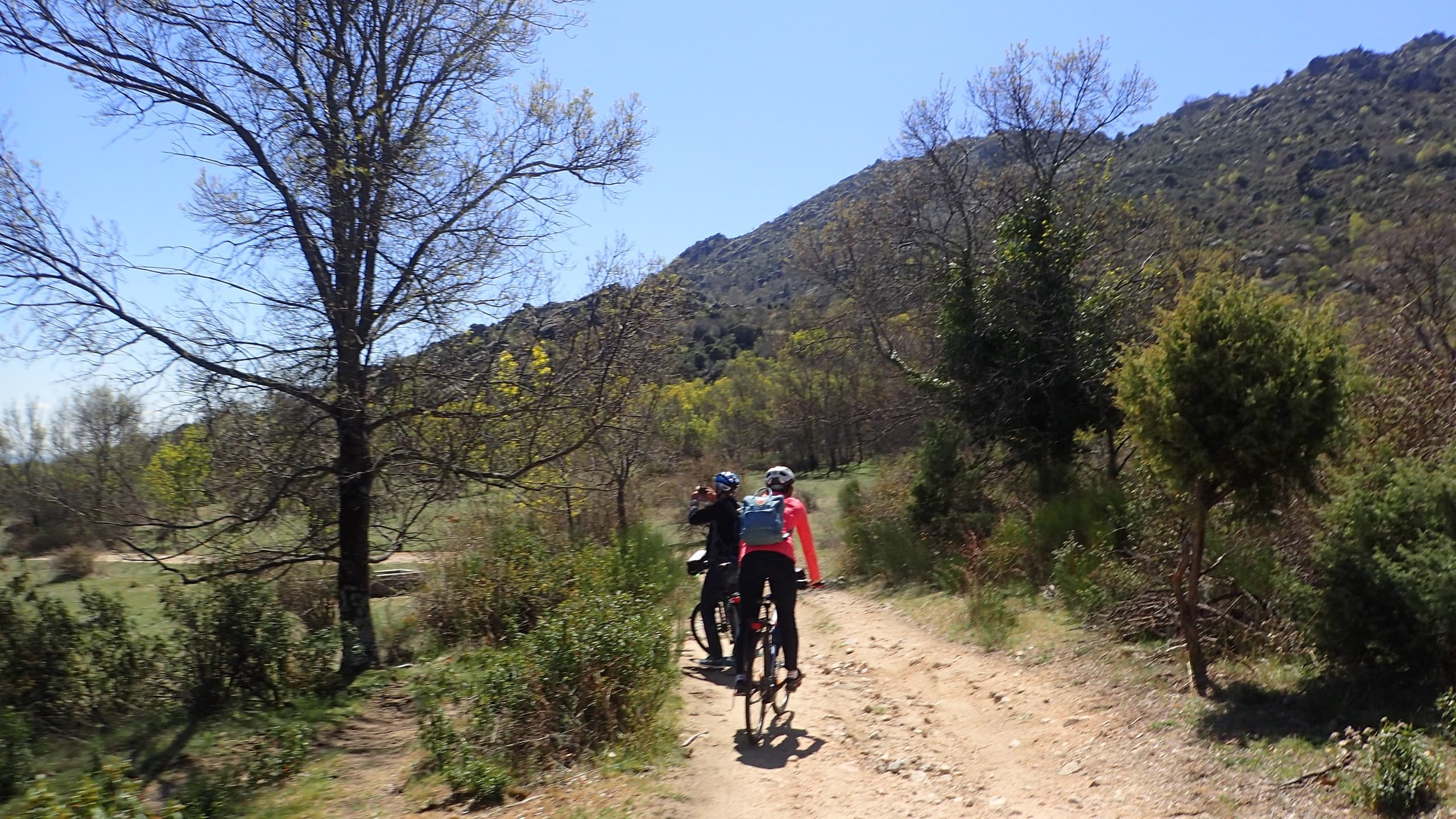 El Escorial Renaissance Palace, Pantheon & National Park on E-Bike