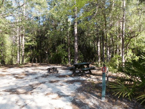 Tent Site 2