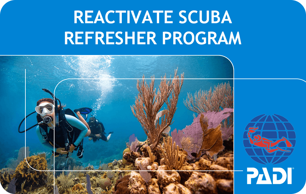 ReActivate/Refresher