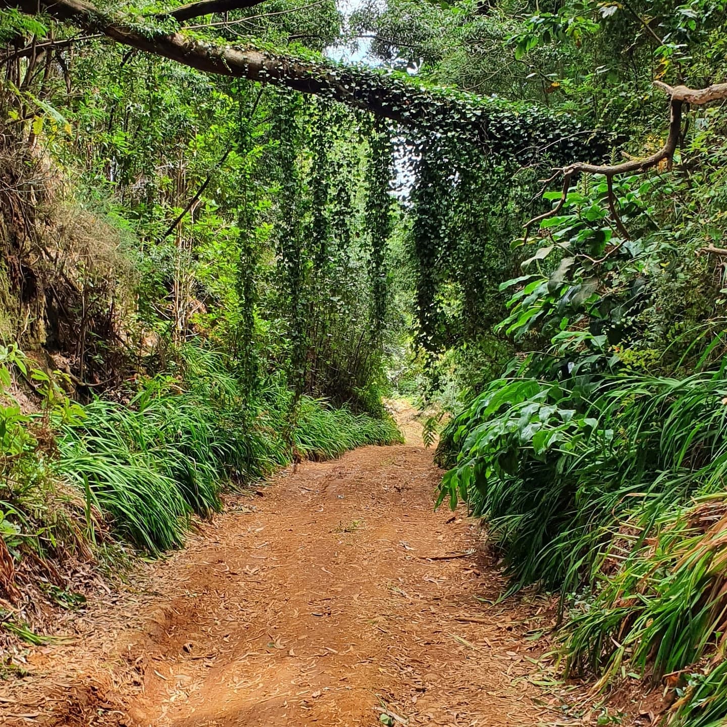 Private Jeep Tour