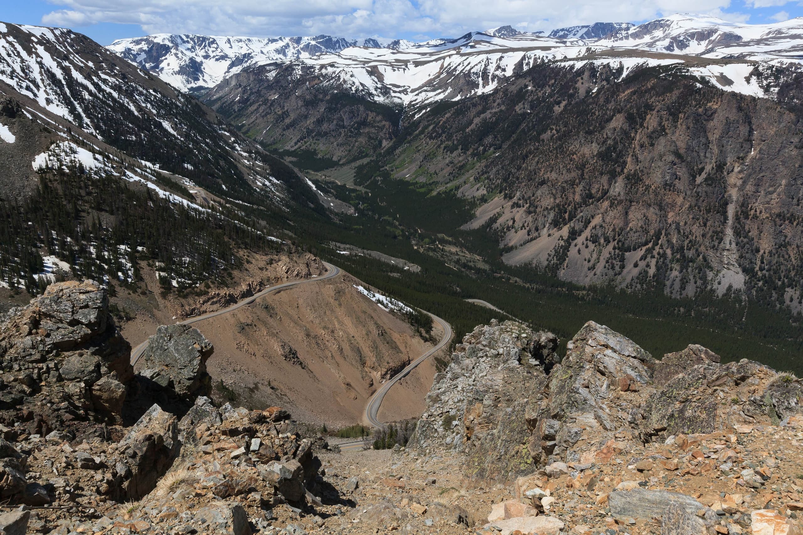 2 Day Lamar Valley Wildlife & Beartooth Pass Safari