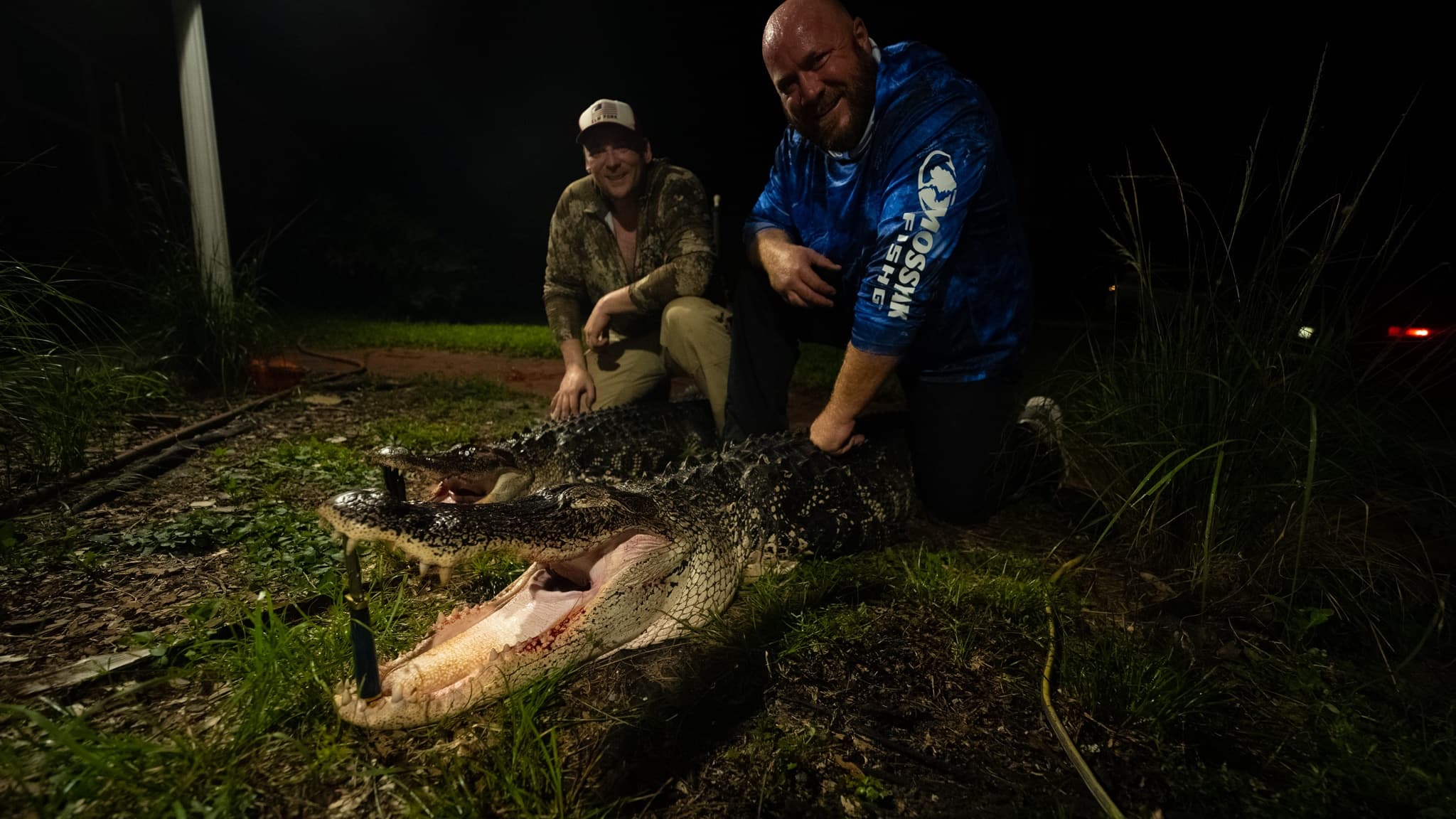 Guided Alligator Hunt