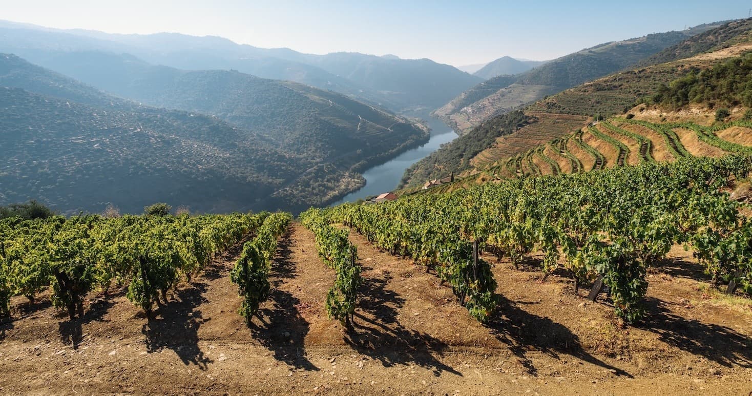 Vale do Douro