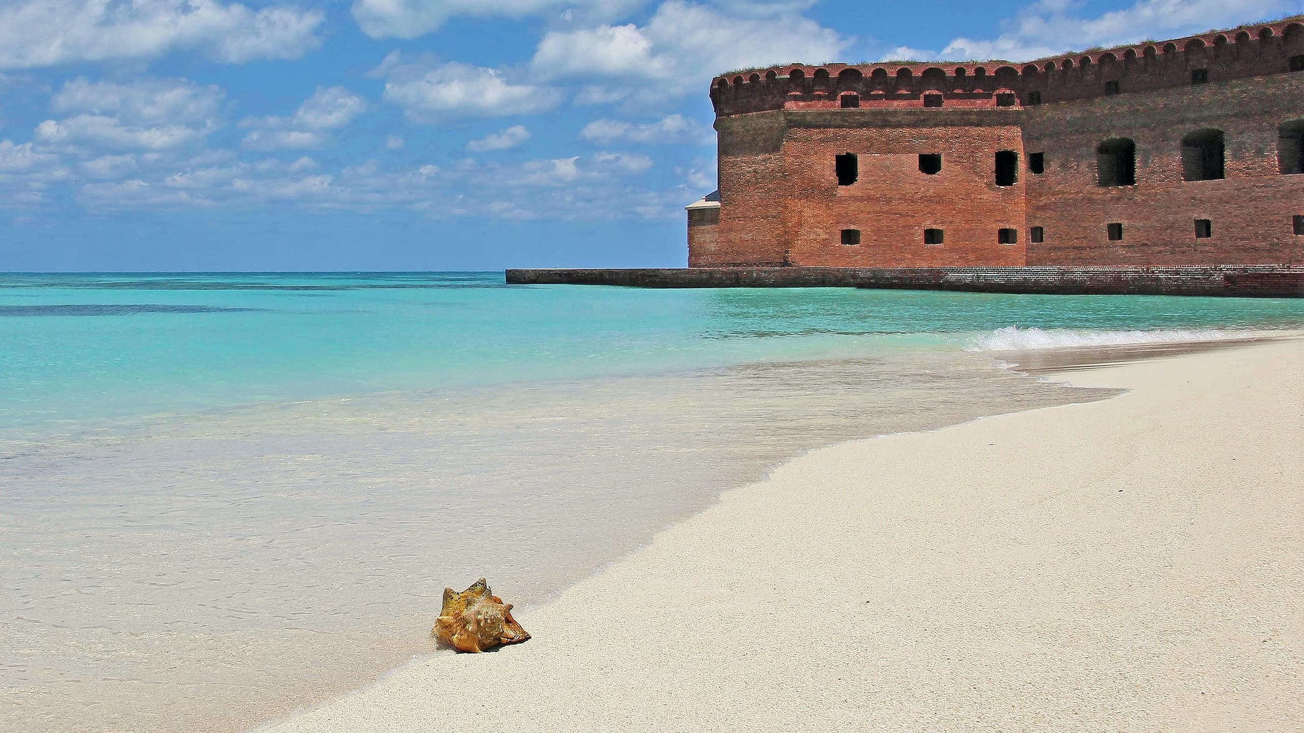 The Dry Tortugas