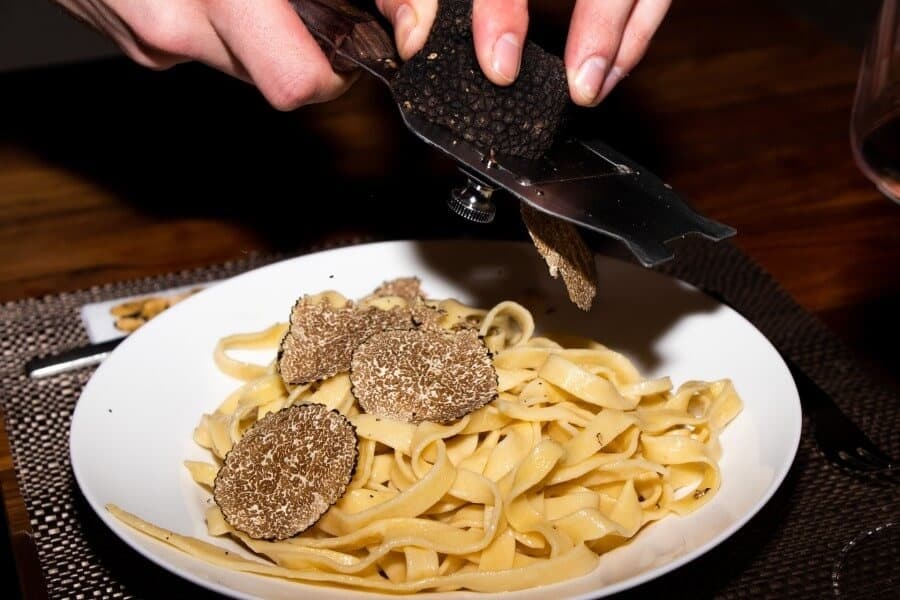 Truffle hunting experience