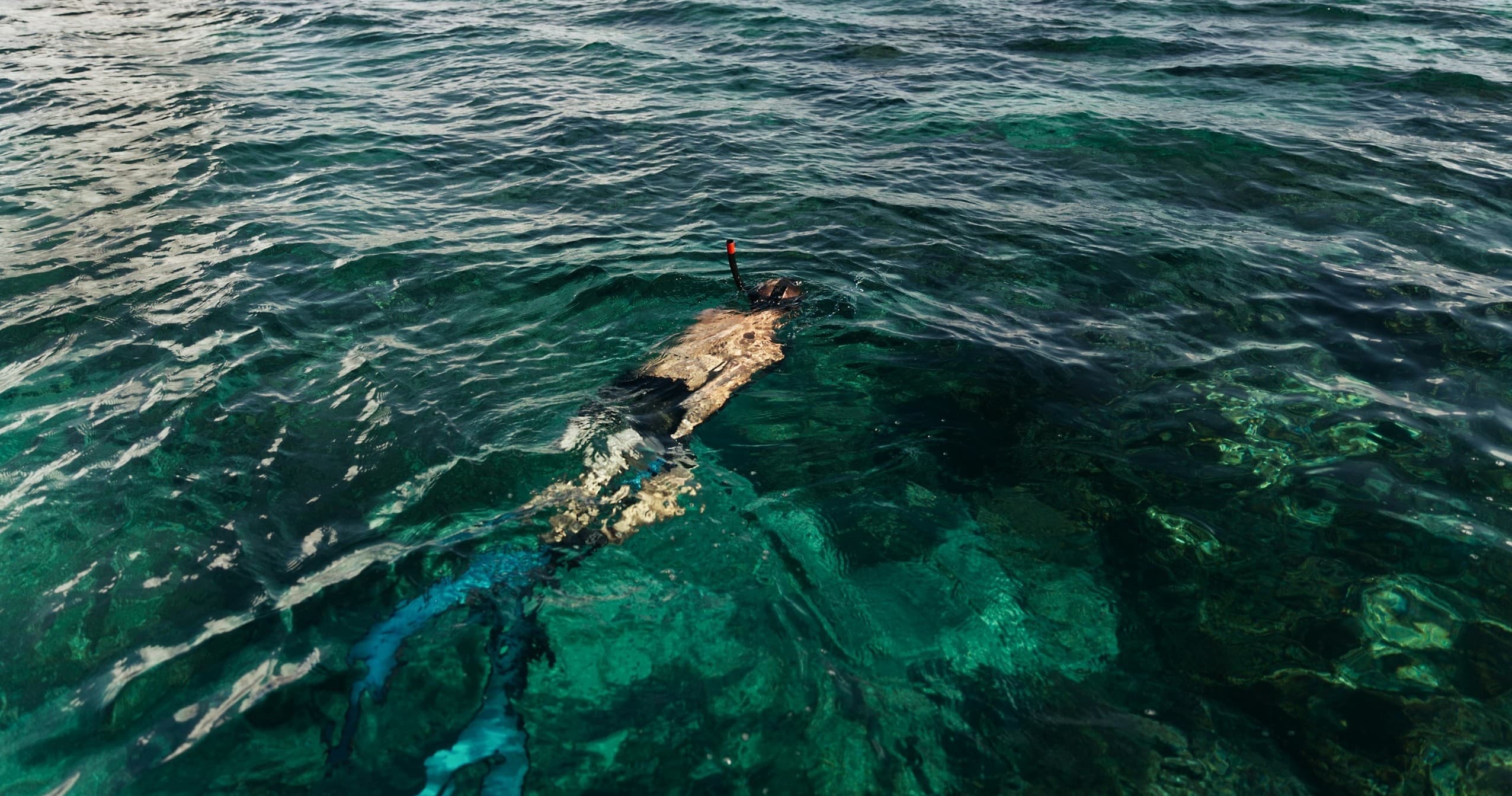 Spear Fishing Tour - Individual